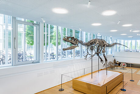 Novartis Bau Asklepios